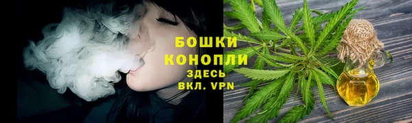тгк Богородск