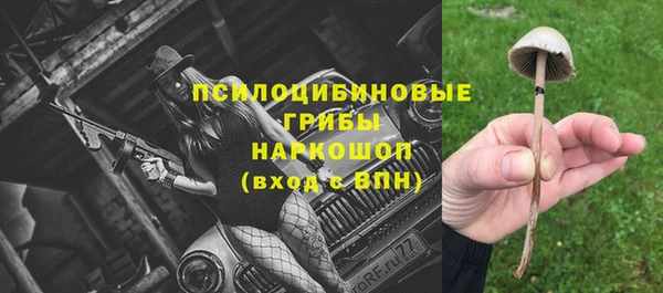 тгк Богородск