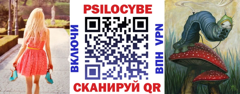 Псилоцибиновые грибы Cubensis  Губкинский 